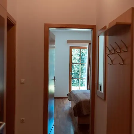 Apartma Luxury Bolf *