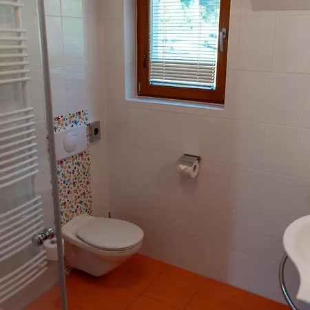 Luxury Bolf Apartma Hocko Pohorje