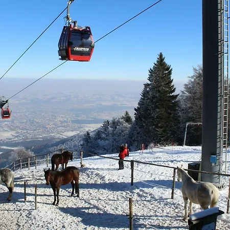 Apartma Luxury Bolf *