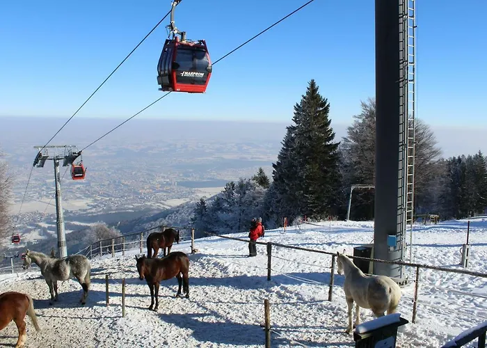 شقة Luxury Bolf *